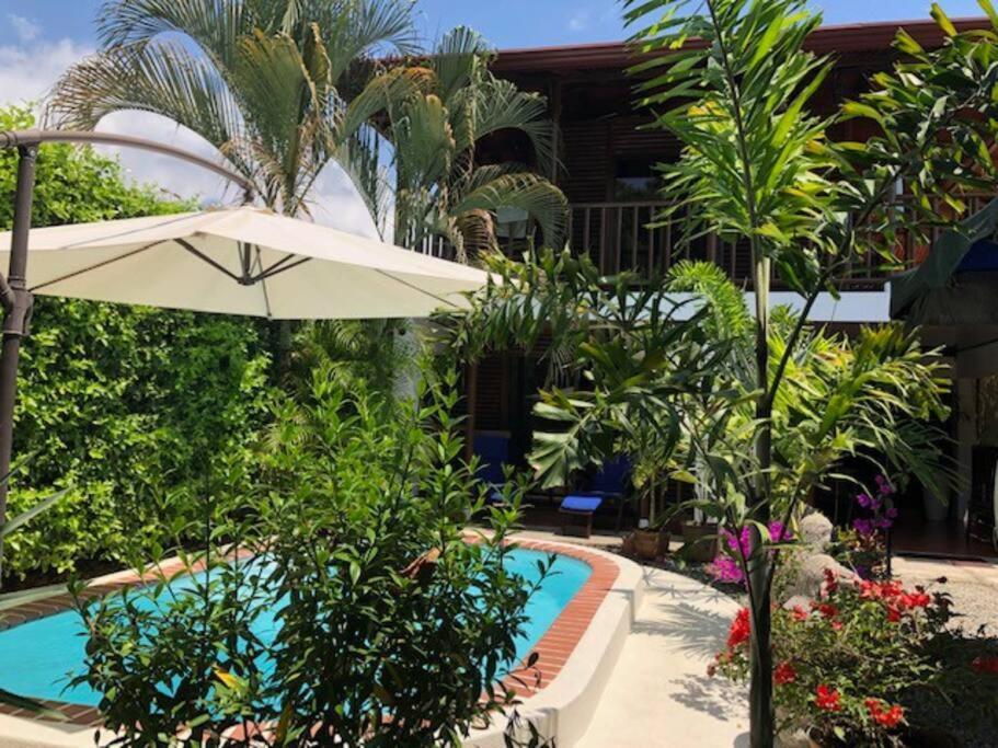 Casa Toucan Mit Privat Pool Near Np Ballena ウビタ エクステリア 写真