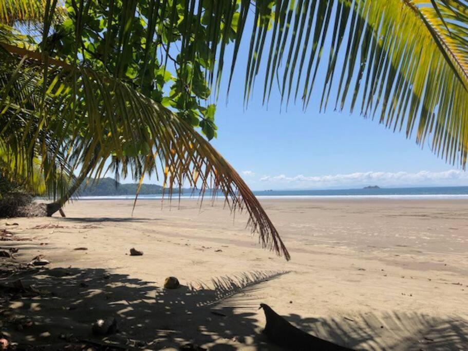 Casa Toucan Mit Privat Pool Near Np Ballena ウビタ エクステリア 写真