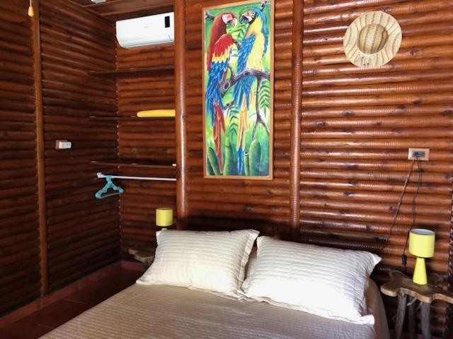 Casa Toucan Mit Privat Pool Near Np Ballena ウビタ エクステリア 写真
