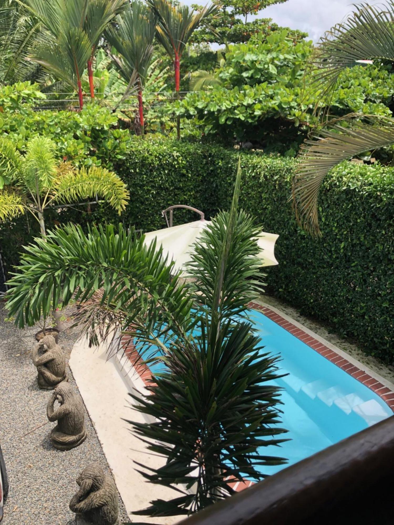 Casa Toucan Mit Privat Pool Near Np Ballena ウビタ エクステリア 写真