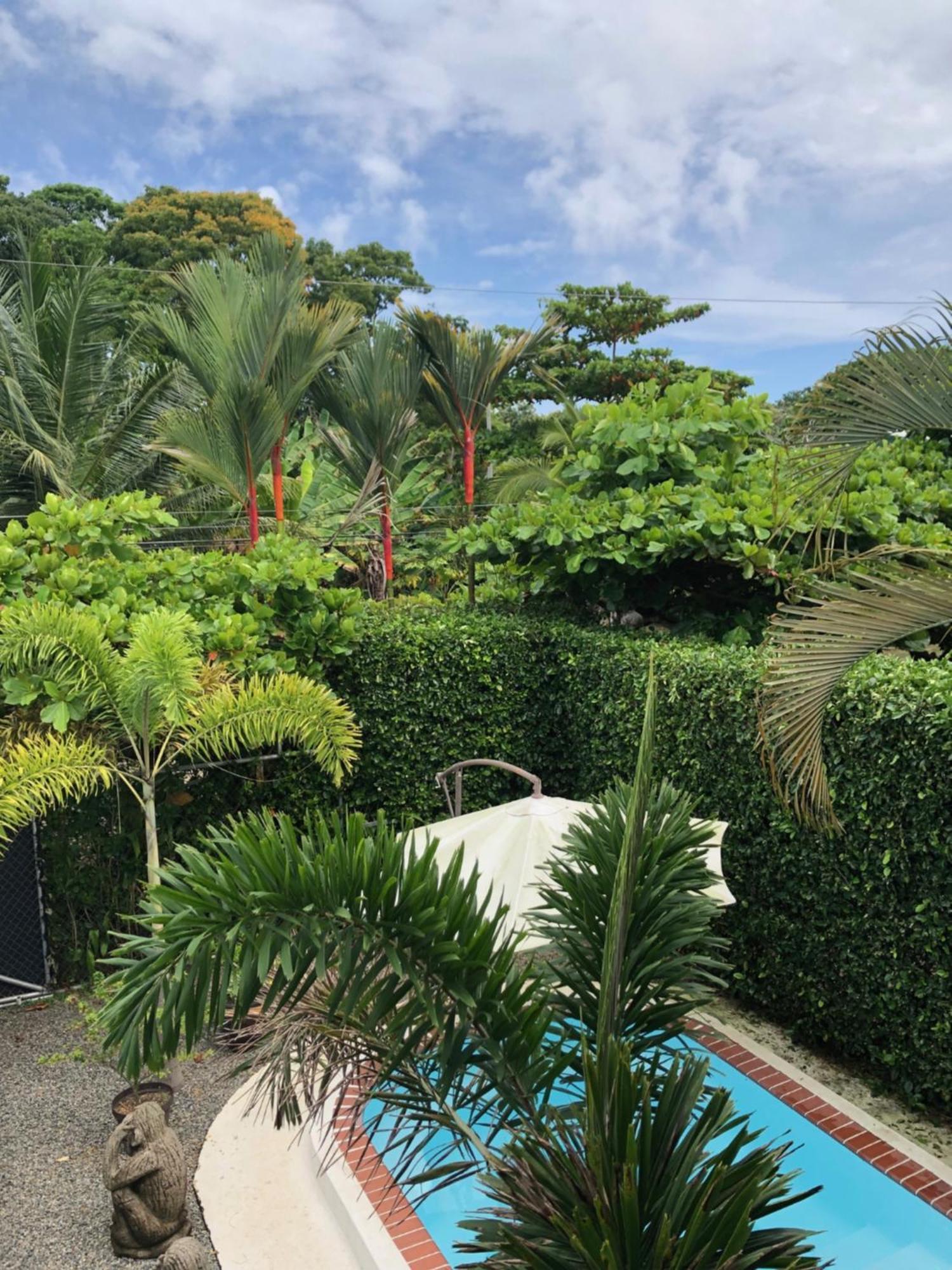 Casa Toucan Mit Privat Pool Near Np Ballena ウビタ エクステリア 写真